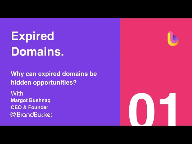 Expired Domains Explained - Auctions, Backorders, SEO & Hidden Value